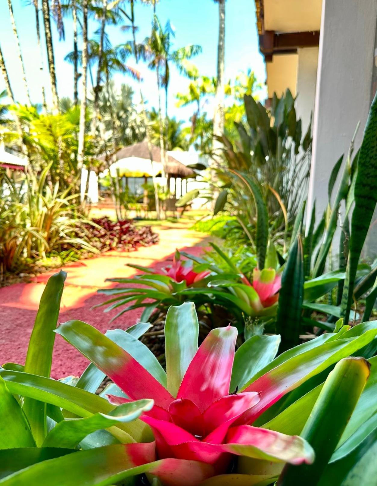 Pousada Casa Paradiso Guaruja Hotel Exterior photo